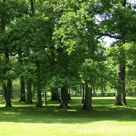 Chateau De Codignat - Relais & Chateaux Hotel 5*