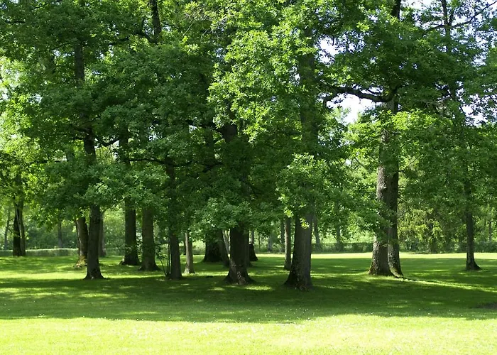 Chateau De Codignat - Relais & Chateaux Hotel 5*